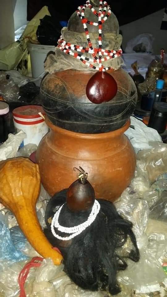 Best traditional healer in Nigeria